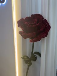 -Dr·Jane皮肤管理中心