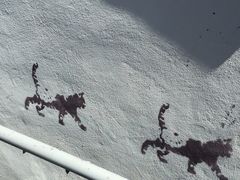 -槟城街头艺术街区