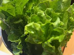 -手选潮汕鲜牛肉火锅(二七广场店)