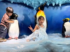 -海合安成都极地海洋公园