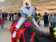 -陕西黄河壶口瀑布旅游区