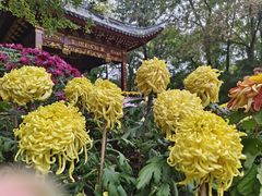 -汇龙潭