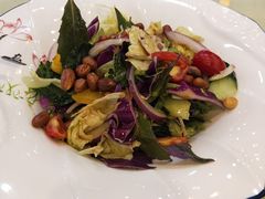 果蔬大拌菜-闫水饺大酒楼·北京老闫靓马饺子馆