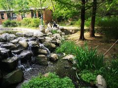 -白水寺森林公园