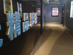 -AMG海上明珠影城(上海环球港RealDCinema店)