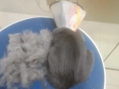 -酷狗靓猫宠物·洗护·美容·寄养(航北路店)