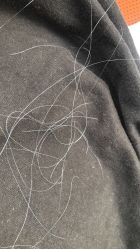 -天下皇剪新潇洒美容美发