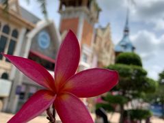 -美的鹭湖探索王国