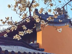 -灵谷景区