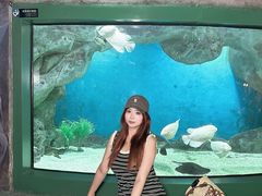 -福州罗源湾海洋世界旅游区