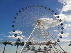 -秦皇岛乐岛海洋王国