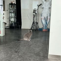 -飛凡TATTOO纹身•原创