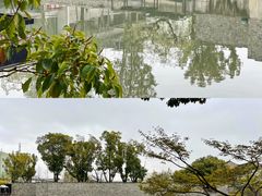 -苏州本色美术馆