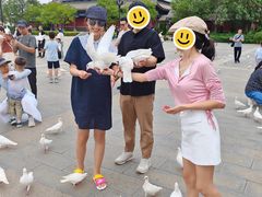 -天津妈祖文化园