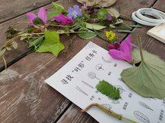 -源香农宝·亲子采摘·钓虾·科普研学