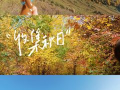 -云顶山风景区