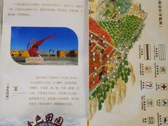 -金塔沙漠胡杨林景区