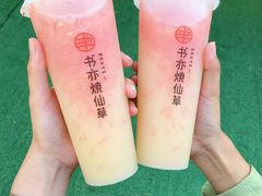 葡萄柚益菌多-书亦烧仙草(时光颂店)