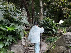 -叶家花园