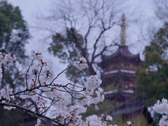 -鸡鸣寺