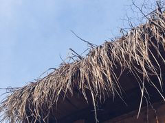 -悦哉·派对·草坪婚礼·围炉煮茶(三圣乡店)