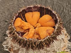 生吃海胆-品海楼·大连海王海肠捞饭·海胆饭(东港店)