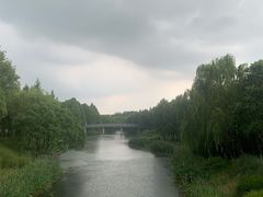 -贡湖湾湿地公园