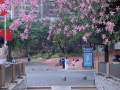 -溪岸路花鸟市场