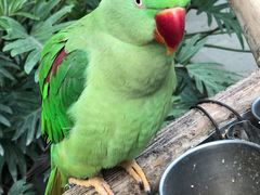 -南宫五洲植物乐园