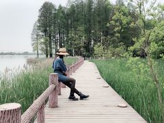-东湖落雁景区