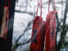 -丰都鬼城名山景区