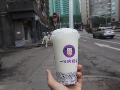 -一只酸奶牛(八一路店)