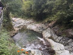 -黄山翡翠谷景区