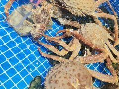 -渔港甄宴·海鲜·地标烟台菜(金沙滩店)