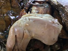 -头塘庄园(农家乐)