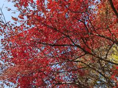 -宜城私房菜.臭鳜鱼(九华新街店)