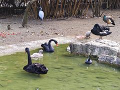 -黔灵山公园