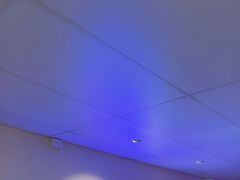 -Dooley's Premium Ice Cream