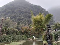 -靖西鹅泉风景区