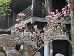 -何园