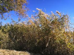 -延庆地质公园博物馆