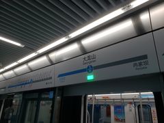 -大龙山(地铁站)