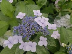 -洋湖国家湿地公园