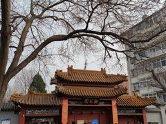-桃花堤公园