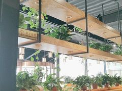 -桃源村铁锅炖鱼(体育馆道店)