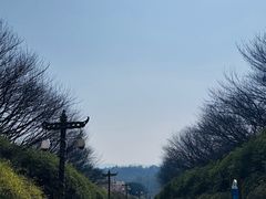 -宜兴龙背山森林公园
