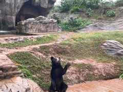 -海南热带野生动植物园