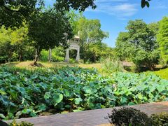 -西溪国家湿地公园