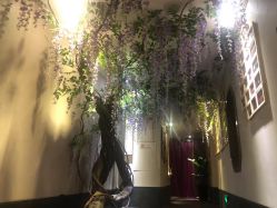 -盘子女人坊生日照·摄影馆(华强店)