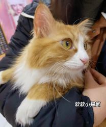 -JX今喜美甲美睫